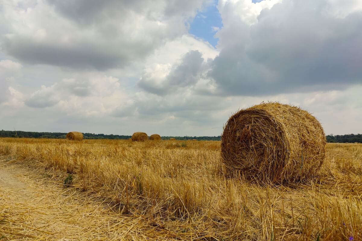 Harvest Now, Decrypt Later